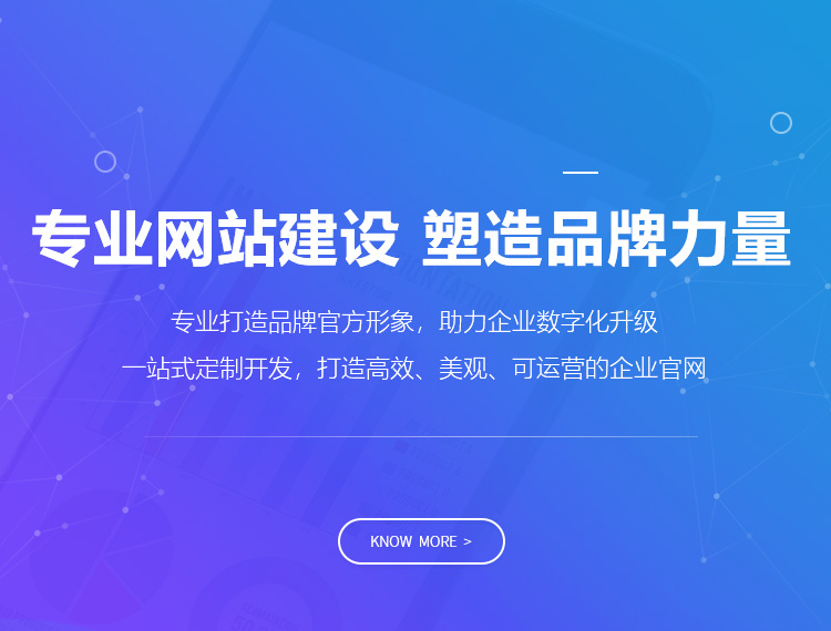 海珠建站-专业网站建设 塑造品牌力量